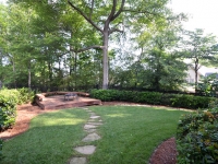 aaf_backyard